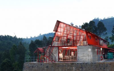 Tea Studio