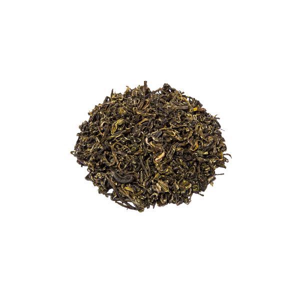 Nilgiri Dewdrop - Image 4