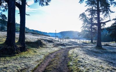 Tasting Notes: A Taste of Winter in South India