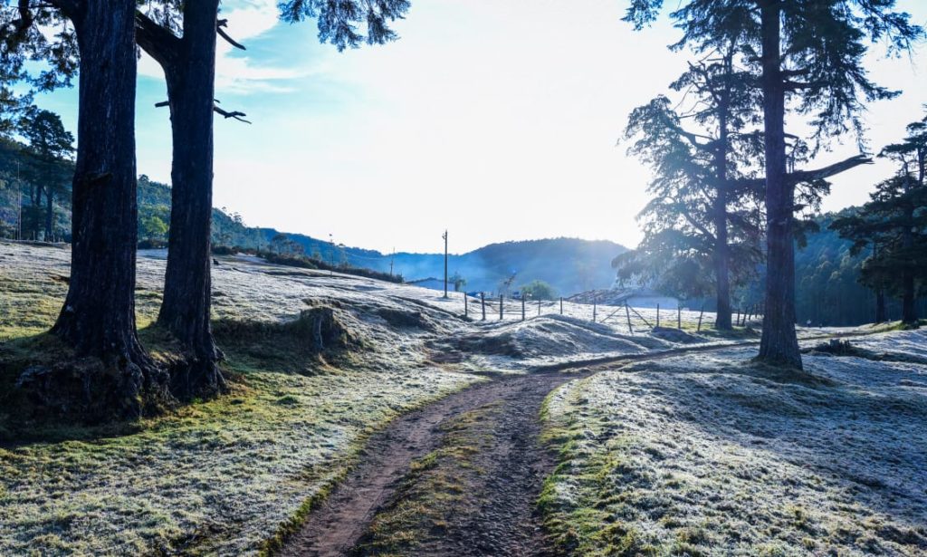 Tasting Notes: A Taste of Winter in South India